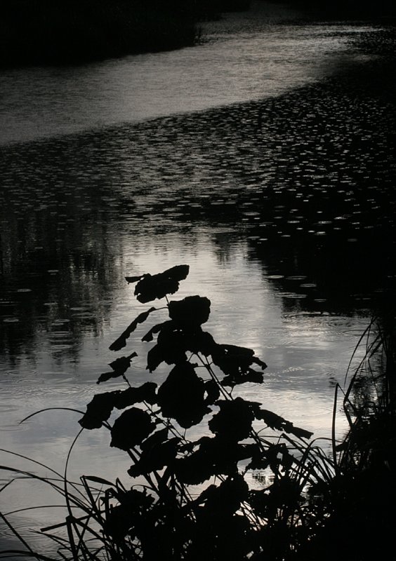 October 2 2006:  <br>  And then it rained