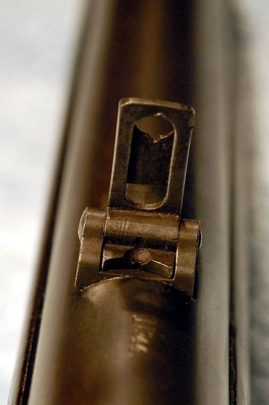 Rear Barrel Sight Elevated Detail
