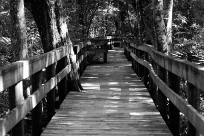 Boardwalk_Web_0528.jpg