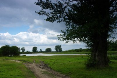 g5/50/564550/3/99672264.xIjDTFDg.jpg
