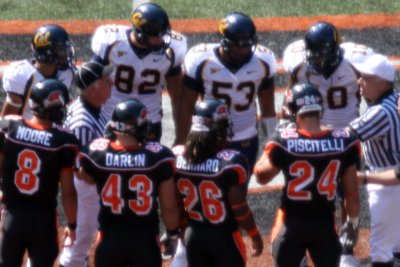 Toss of the coin