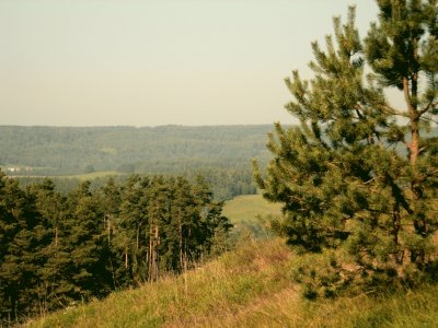 a view from Cisowa Gra, Gulbieniszki