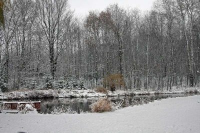 Snow by our pond