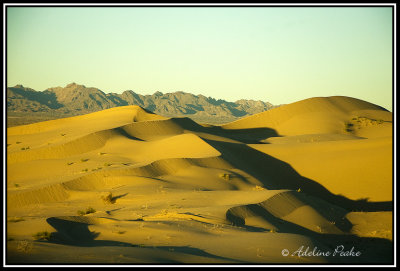 Imperial Sand Dunes, CA