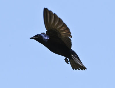 g5/50/820250/3/98402921.bYcenKJg.jpg