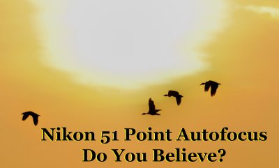 Nikon 51 Point Autofocus System