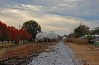 Fall train scene
