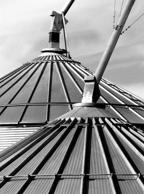 Bin Roofs