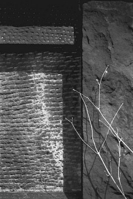 CompositionWithTwigs.jpg
