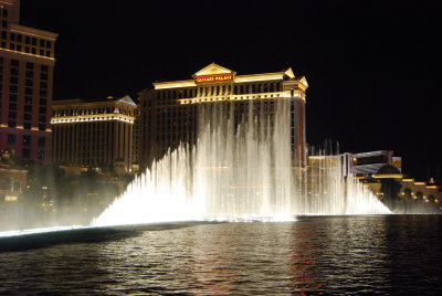g5/50/889450/3/119315868.NXZce8sq.jpg