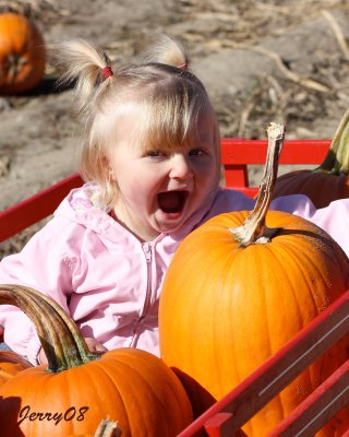 IMG_2254b.jpg