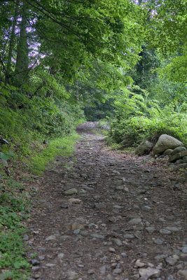 path.jpg