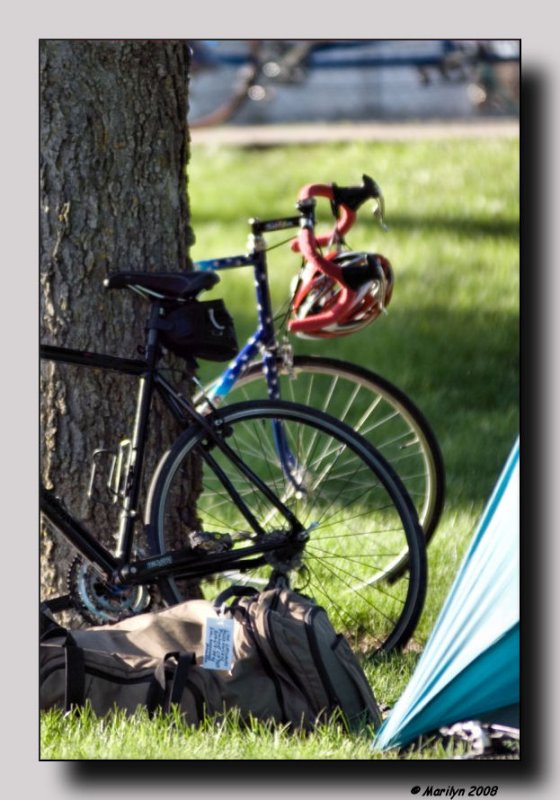 'Cycling is unique ...