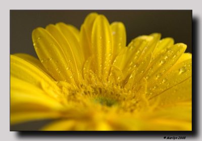 g5/51/341751/3/100028398.Z4FHkqEV.jpg