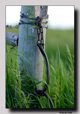 Agriculture not only gives ...