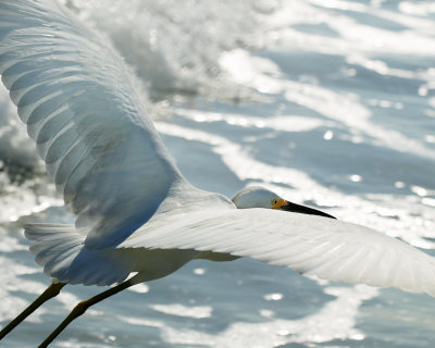 Shore patrol