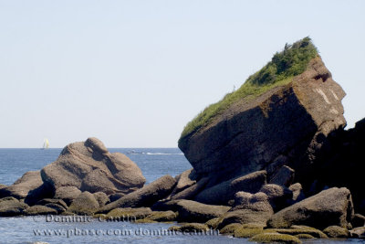Rocher Tte dIndien / Indian Head Rock / St-George-de-Malbaie , Gaspsie , QC