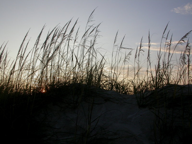 Beach - Hatteras