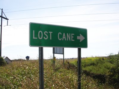Lost Cane