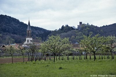 Kintzheim