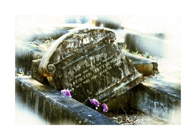 Cemetery 8