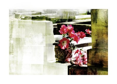 Cemetery 13