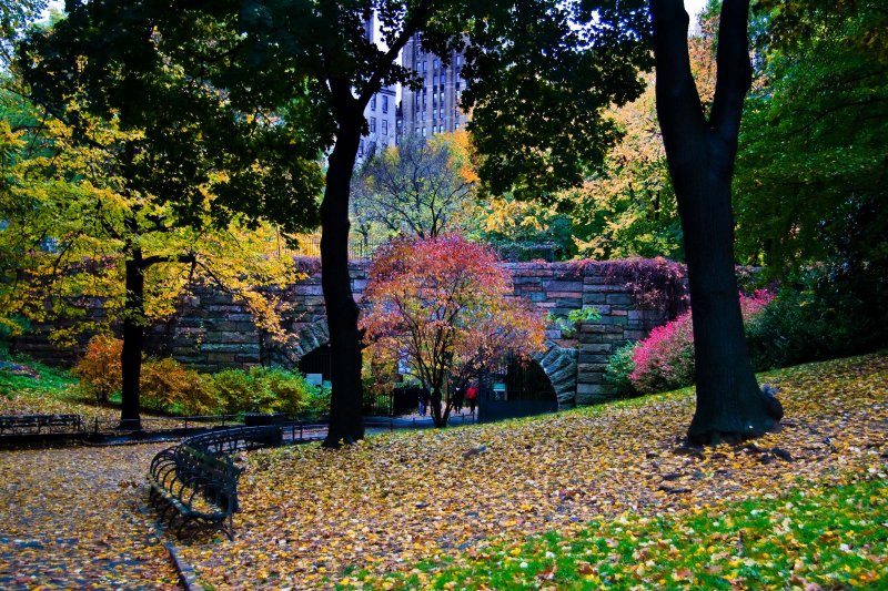 20091028-IMG_4223-Edit035.jpg