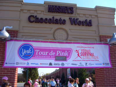 York Tour de Pink Banner