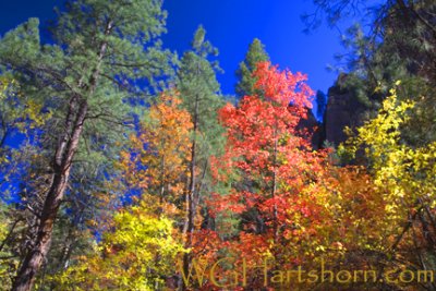 Autumn West Fork