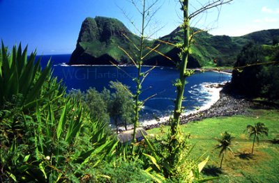 Maui Backroad