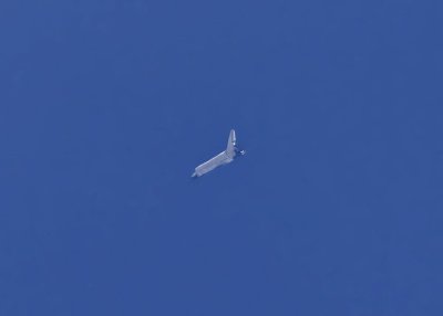 g5/51/687951/3/98706907.W6OXIv9T.jpg