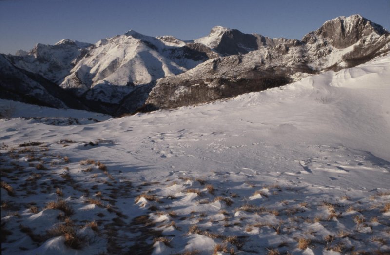 View from Mount Corchia