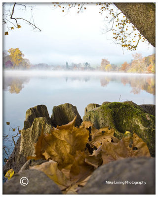 river fog.jpg