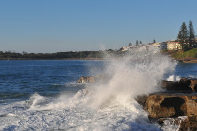 DSC_3478.JPG