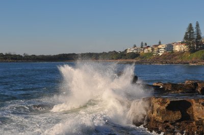 DSC_3481.JPG