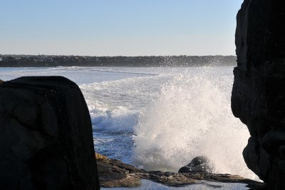 DSC_3489.JPG