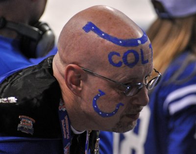 Colts fan
