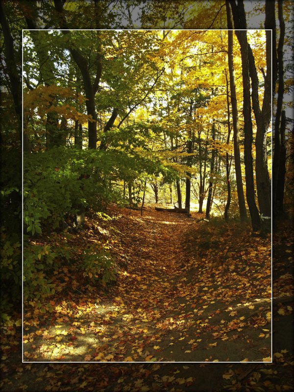 2009 - Serena Gundy Park
