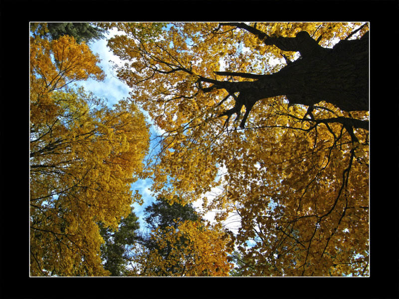 2009 - Sunnybrook Park