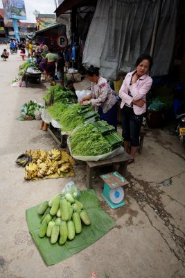 Road to Vang Vieng - a laotian village
