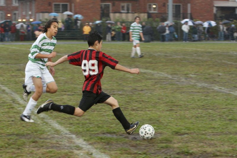 IMG_8532_1_1.jpg