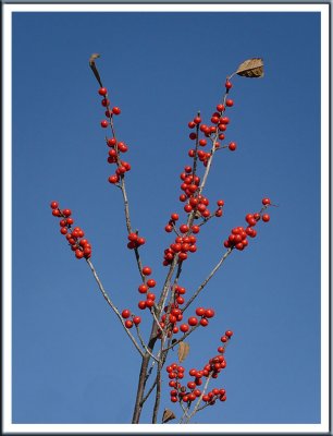 October 30 - Autumn Bounty