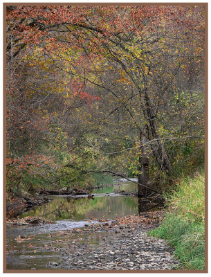 October 11 - Up the Creek