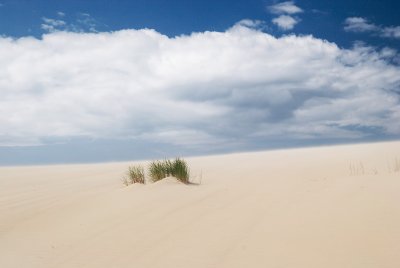 Lithuania, Curonian Spit, dunes near Nida