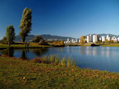 CityPark528.jpg