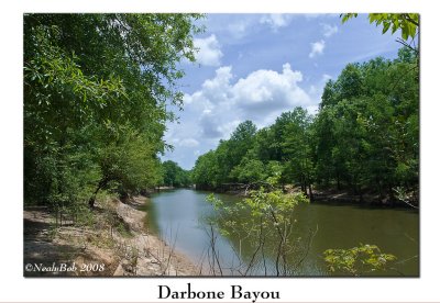 Darbone Bayou June 21