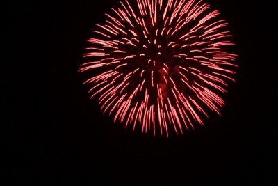 IMG_1078.jpg