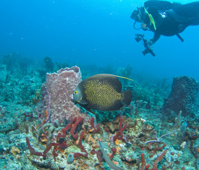 Underwater Boynton Beach