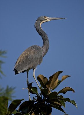 IMG_1428.jpg
