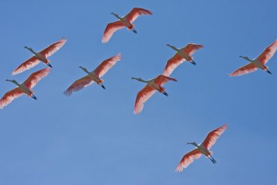IMG_1684.jpg